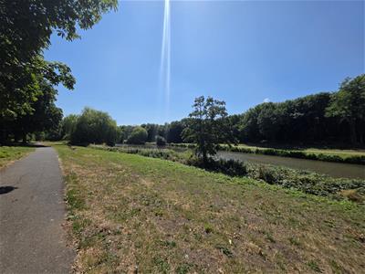 Picture 27